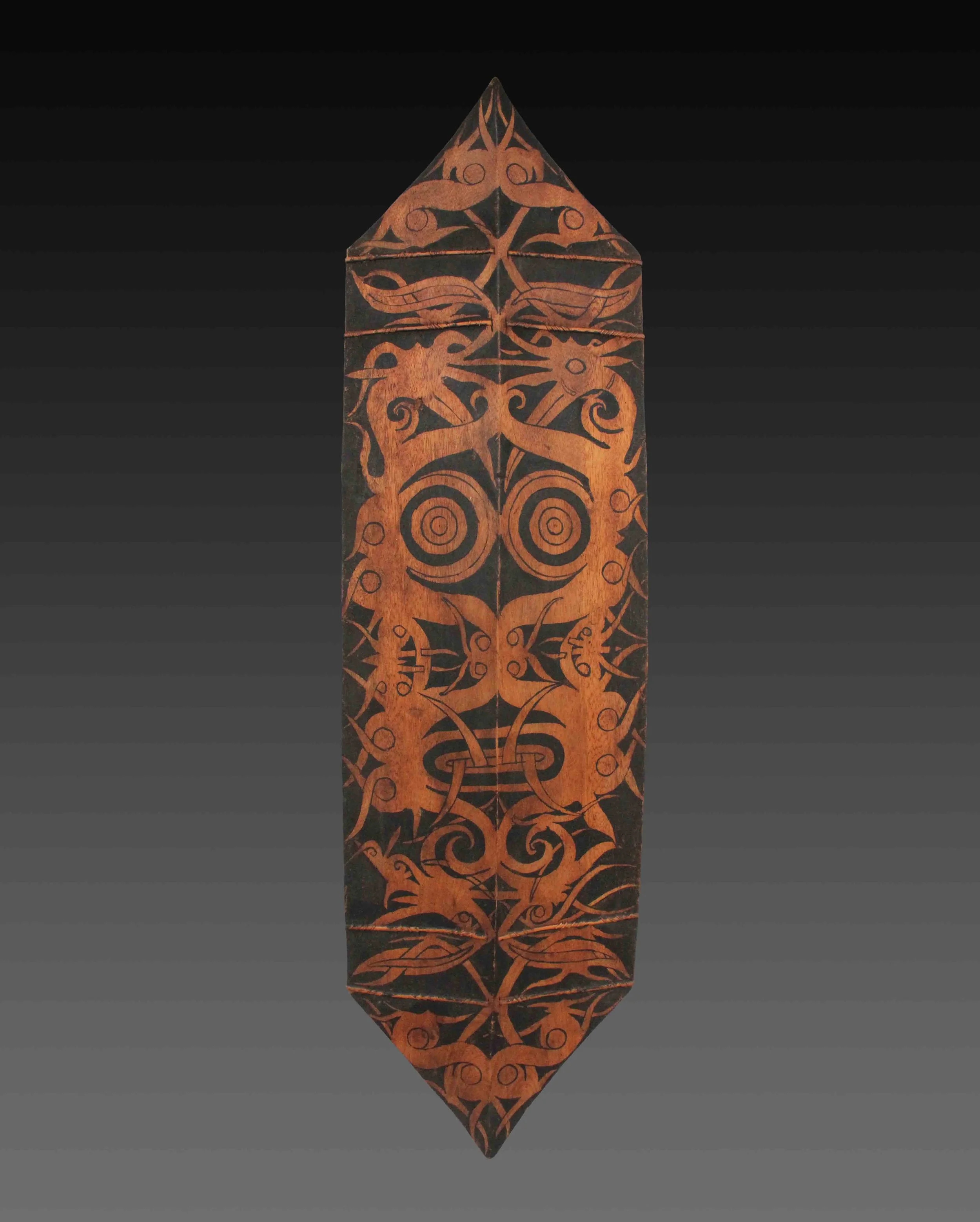 Painted Shield