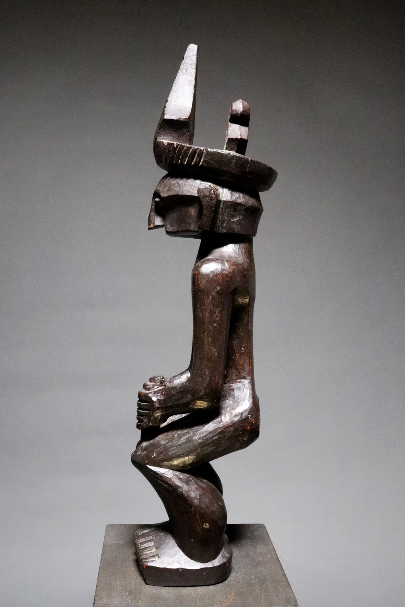 sjn1-nias-f.JPG