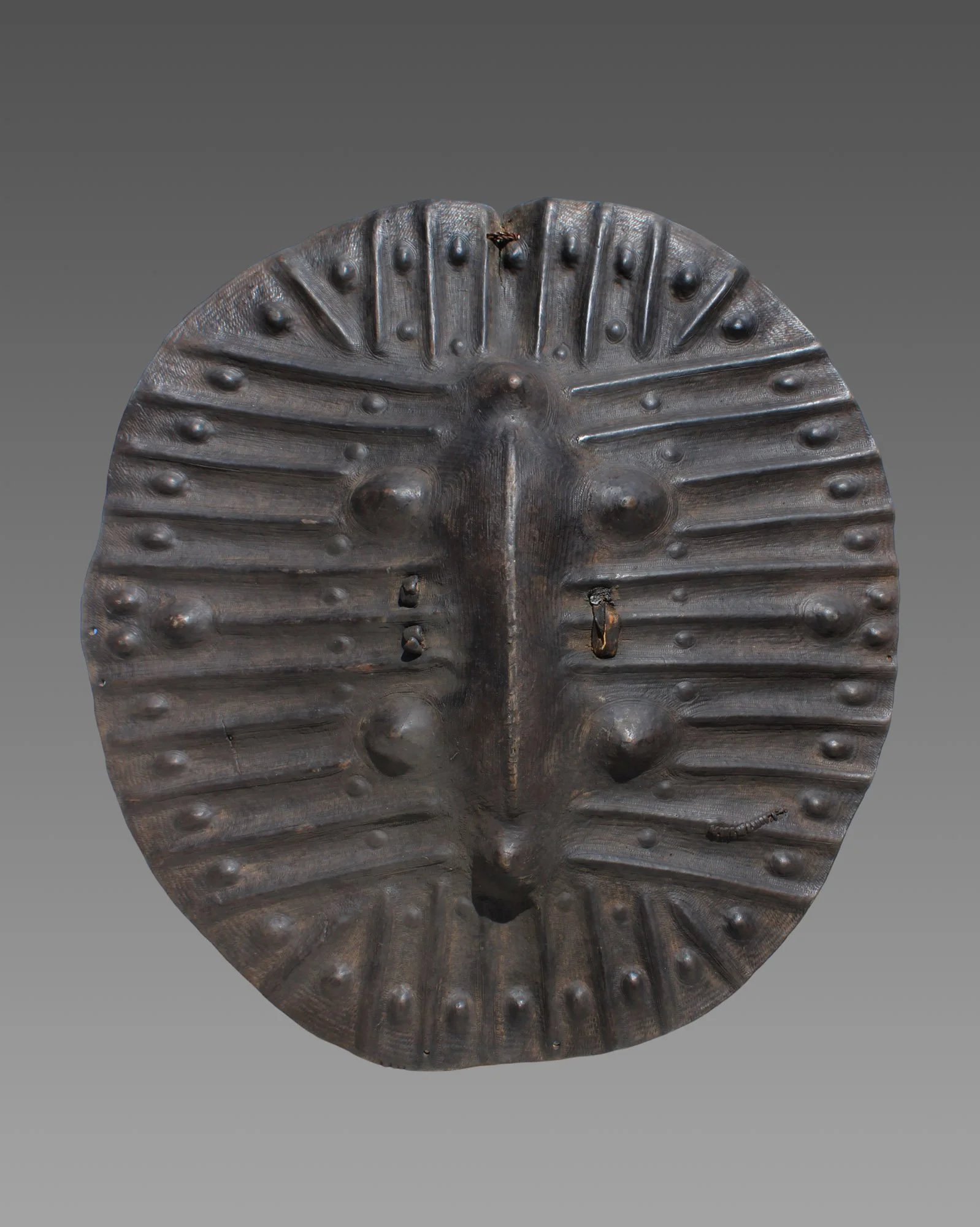 4815-shield-a.JPG