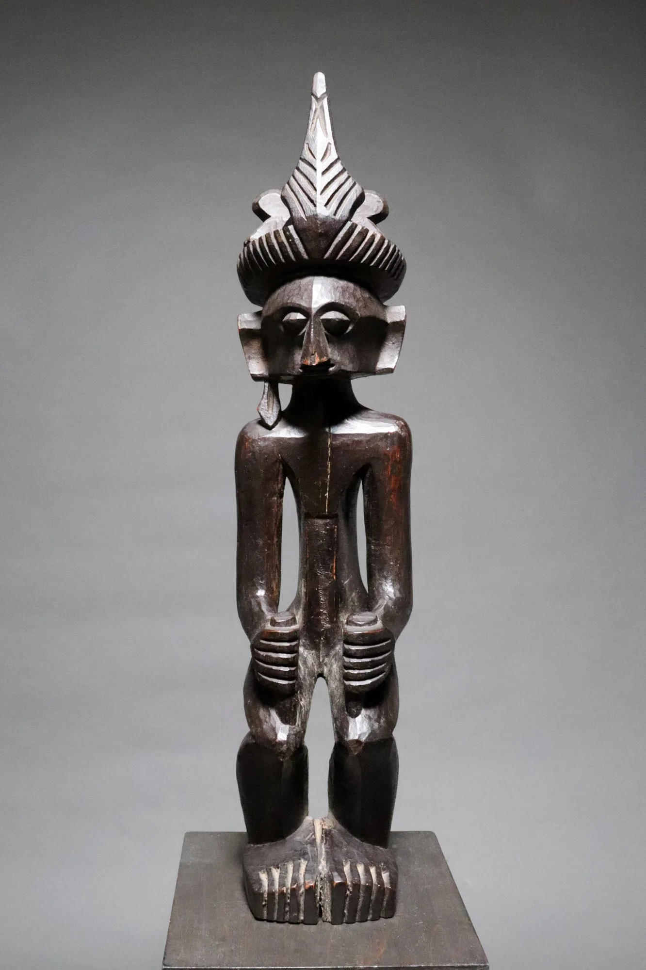 sjn1-nias-a.JPG
