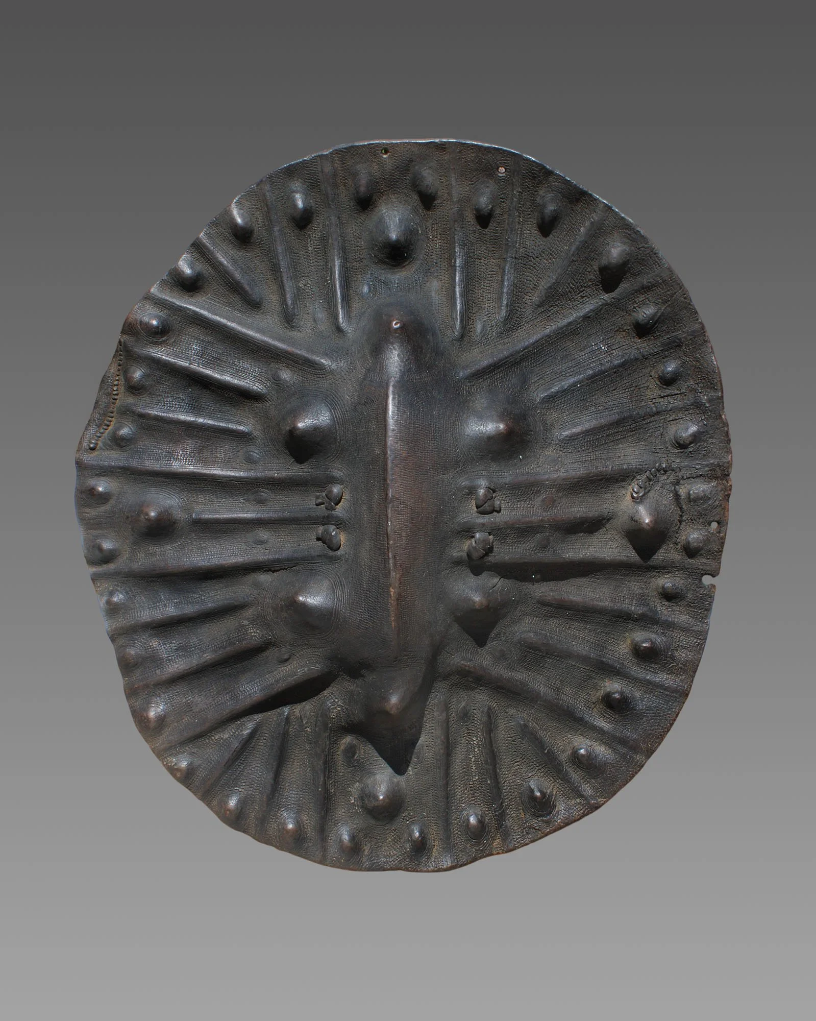 4792-shield-a.JPG