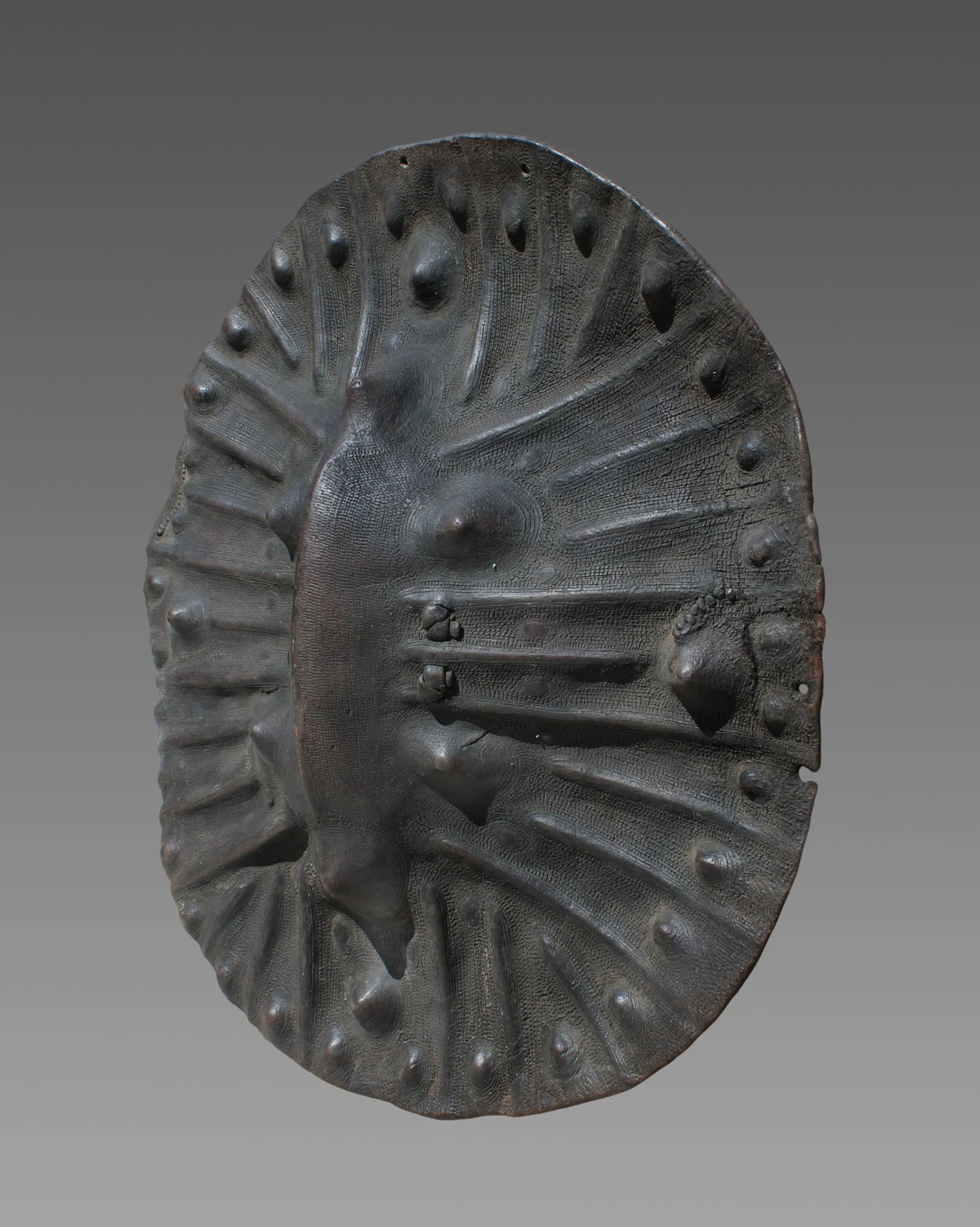 4792-shield-b.JPG