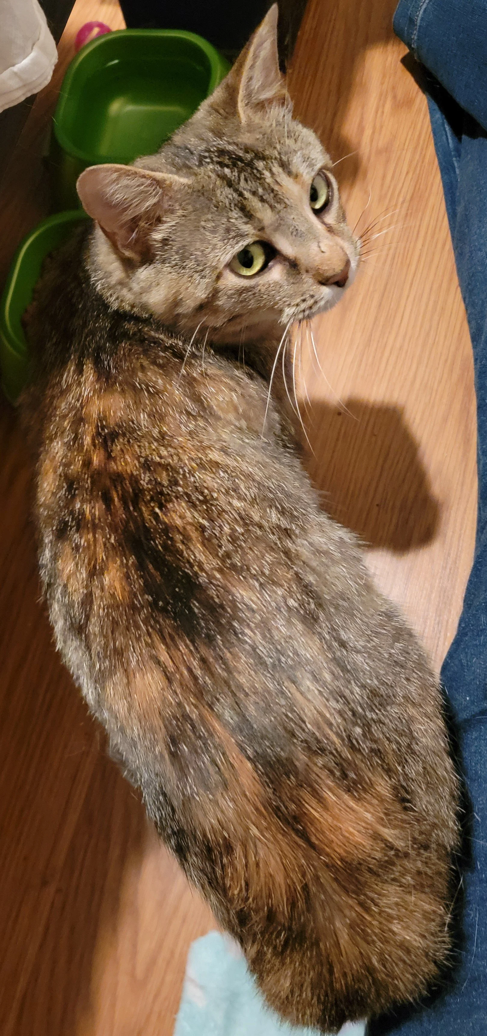 20260429_210425.jpg