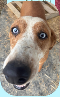 Screenshot 2025-11-19 145025.png