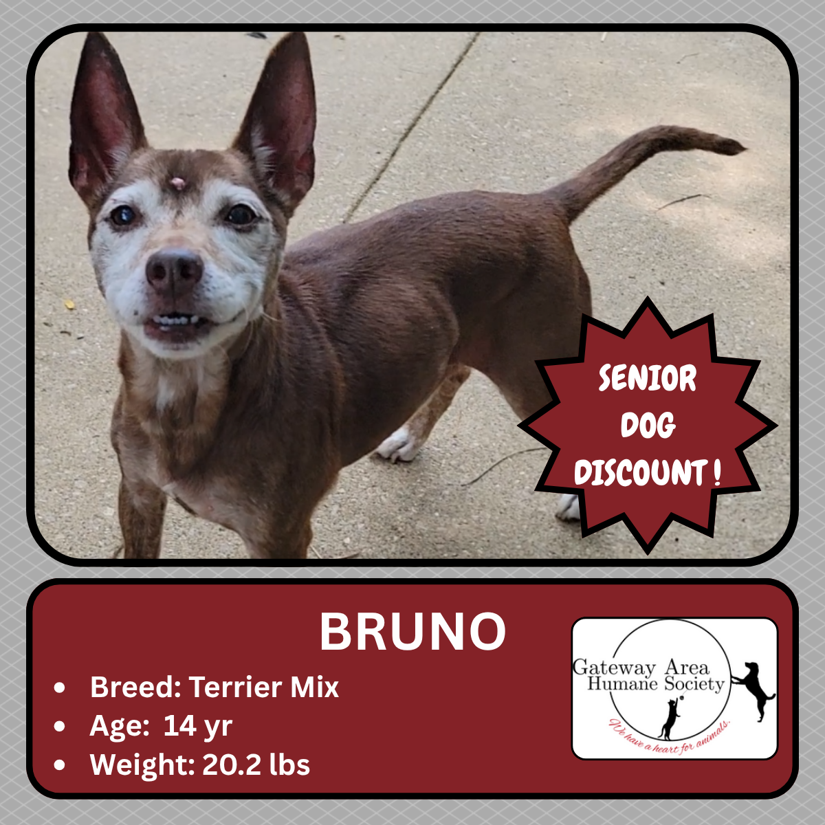 Bruno (1).png