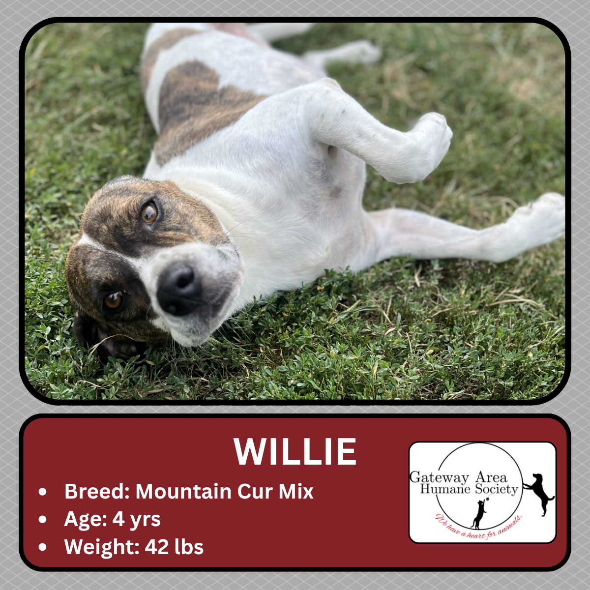 Willie.png