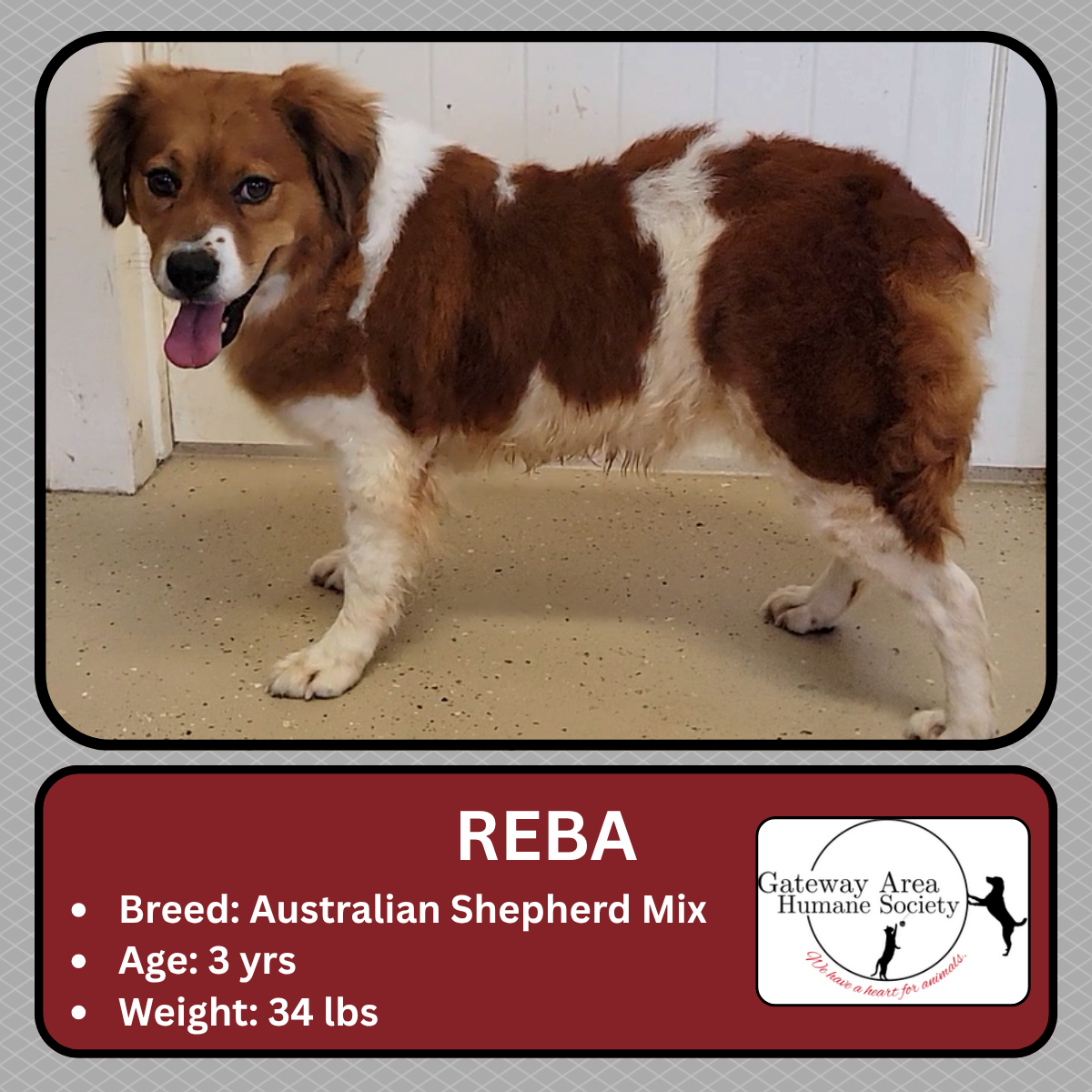 Reba.png
