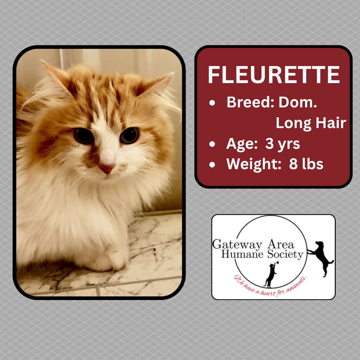 Fleurette.png