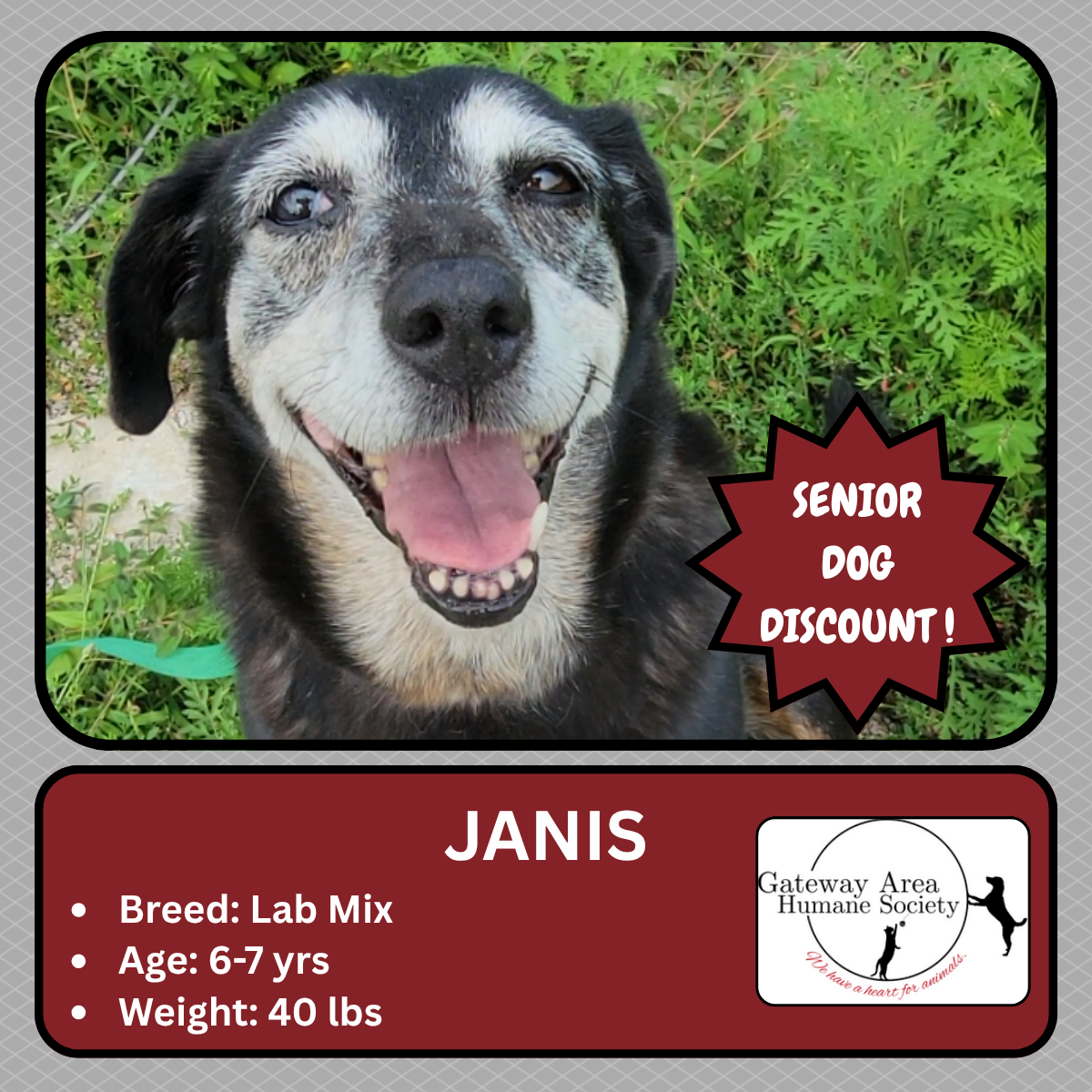 Janis (1).png