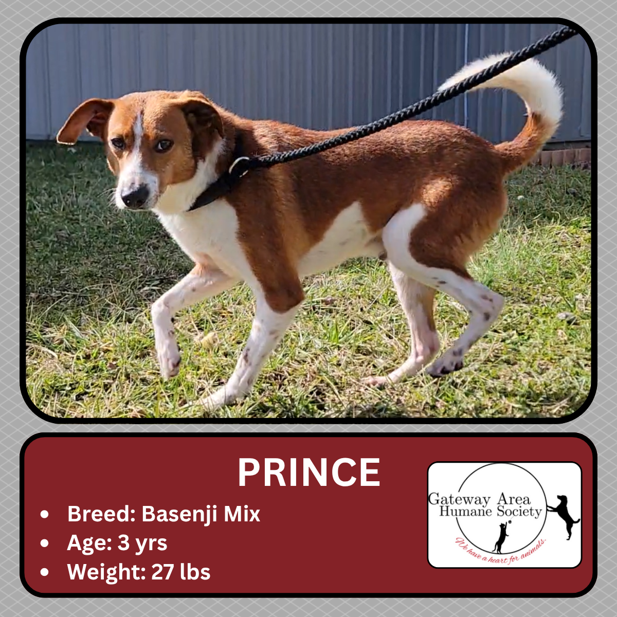 Prince.png