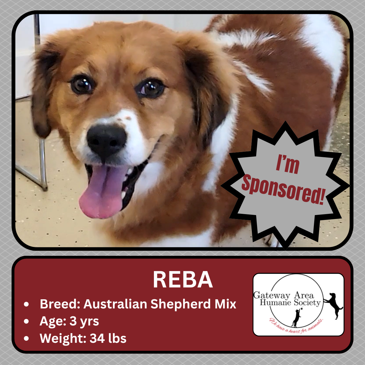 Reba.png
