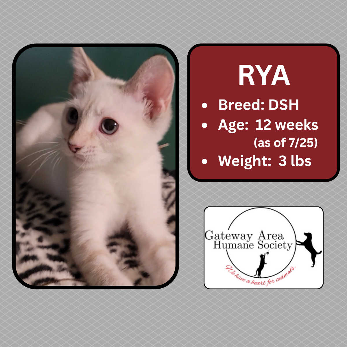 Rya.png