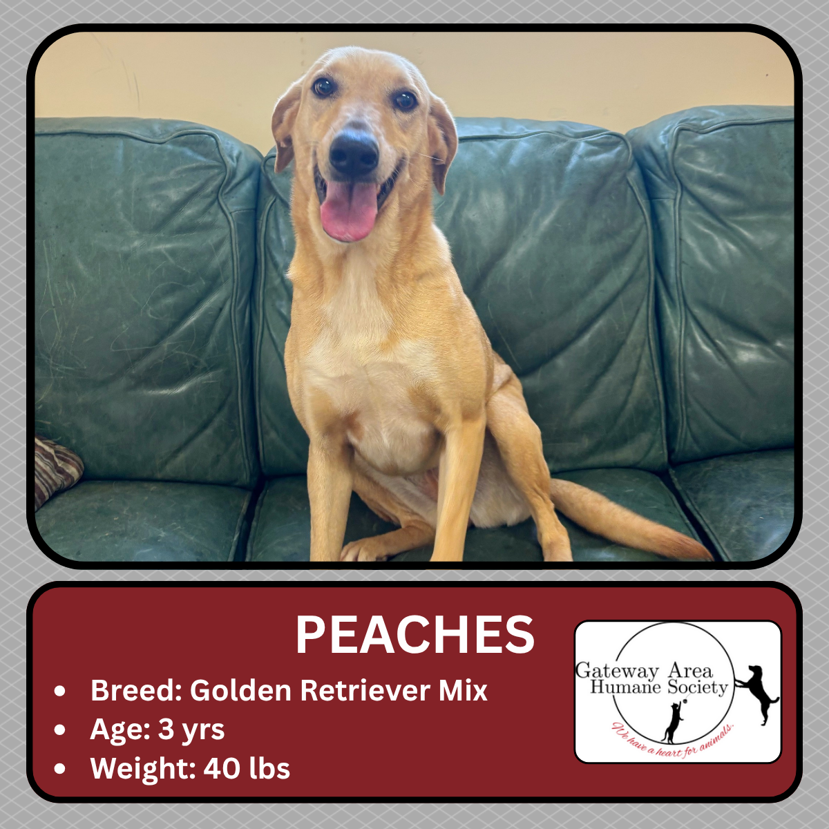 Peaches-new.png