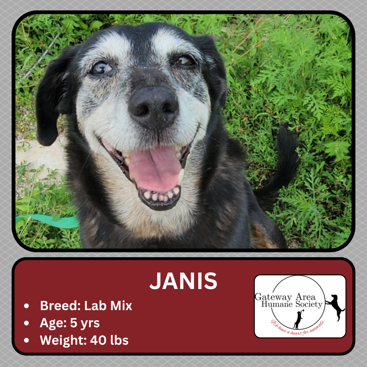 Janis.png