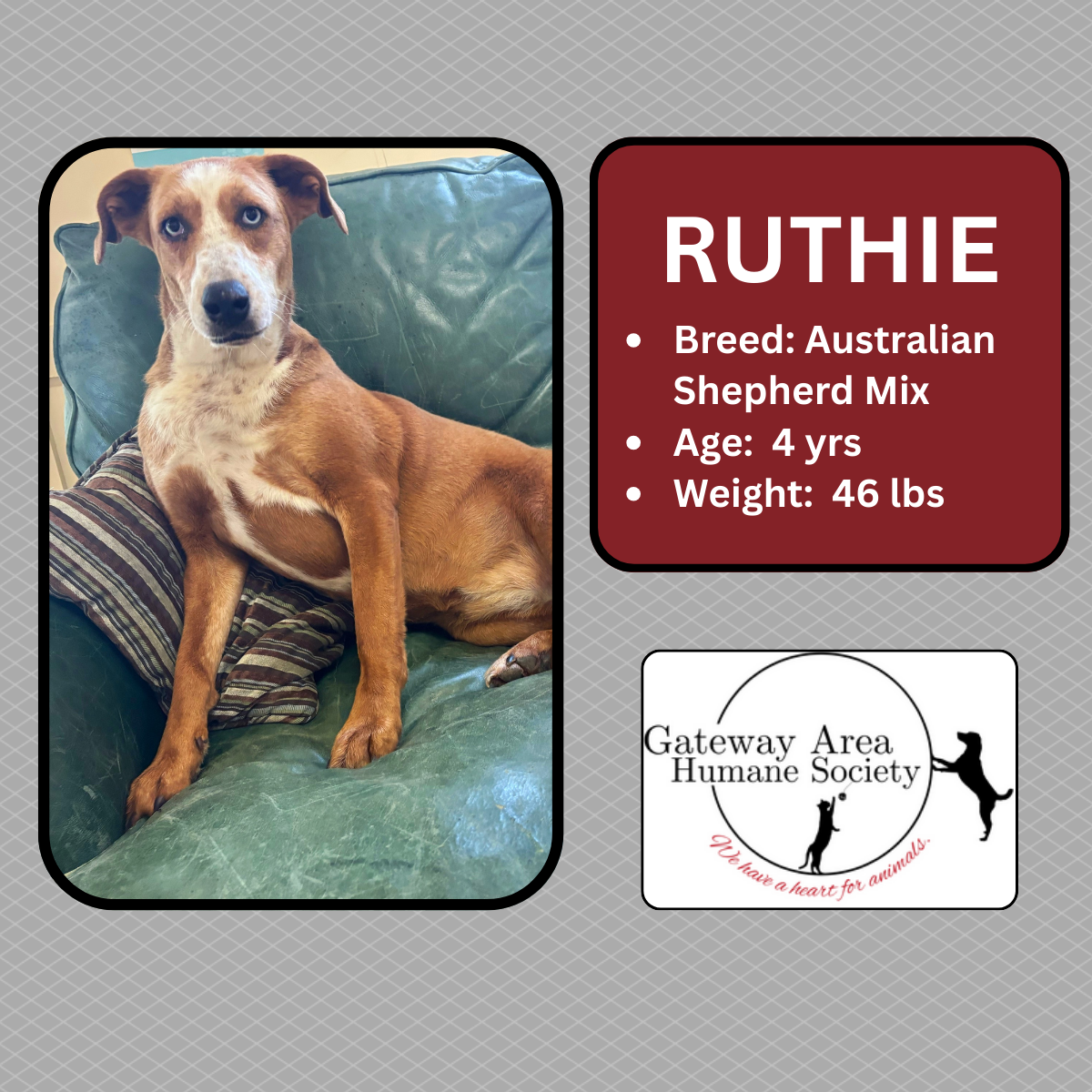 Ruthie-new.png