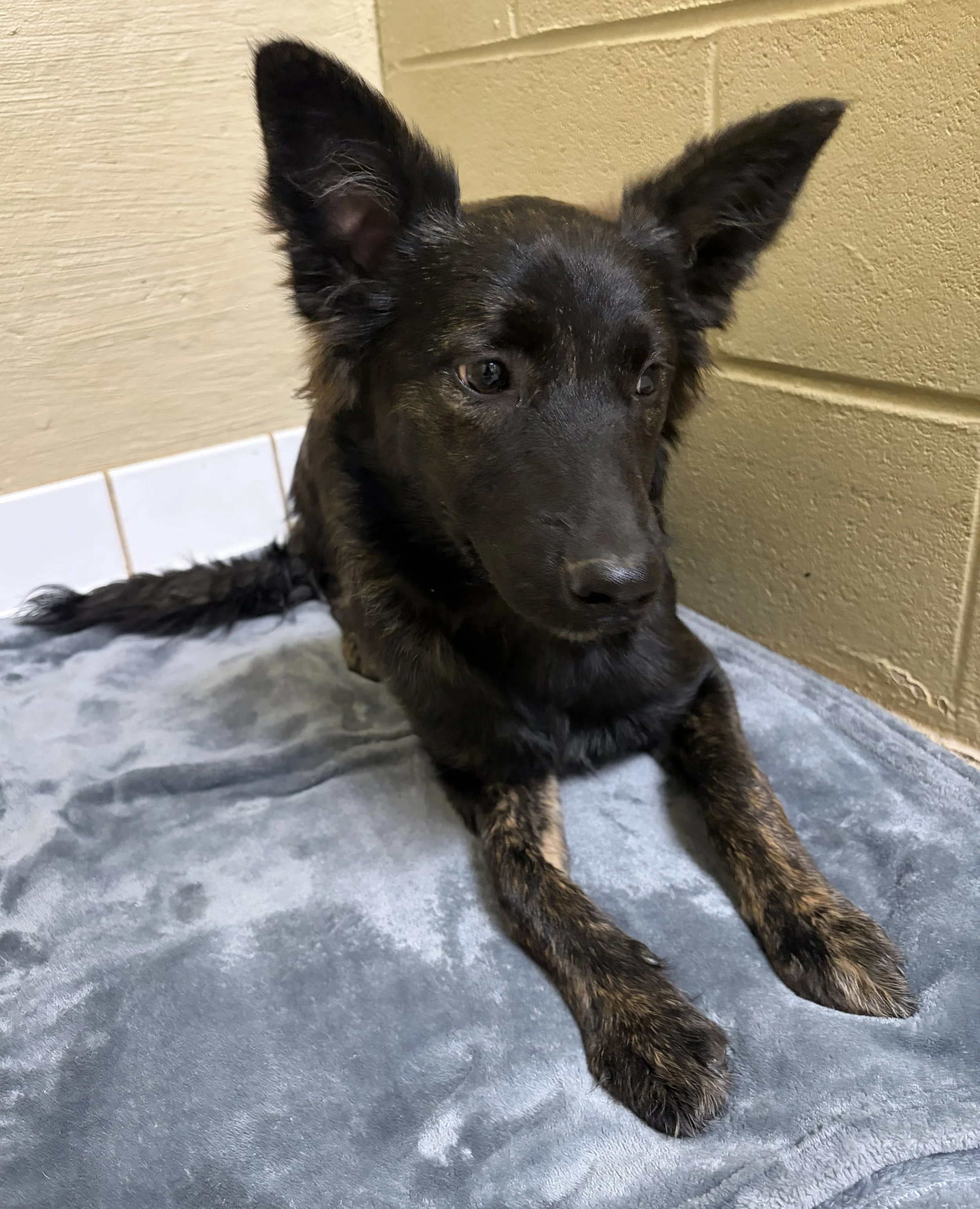 IMG_20260823_222559.jpg
