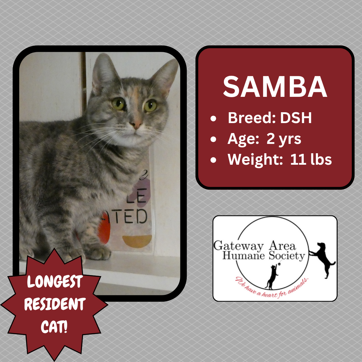 Samba-new.png