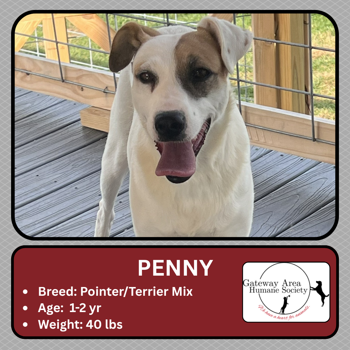 Penny.png