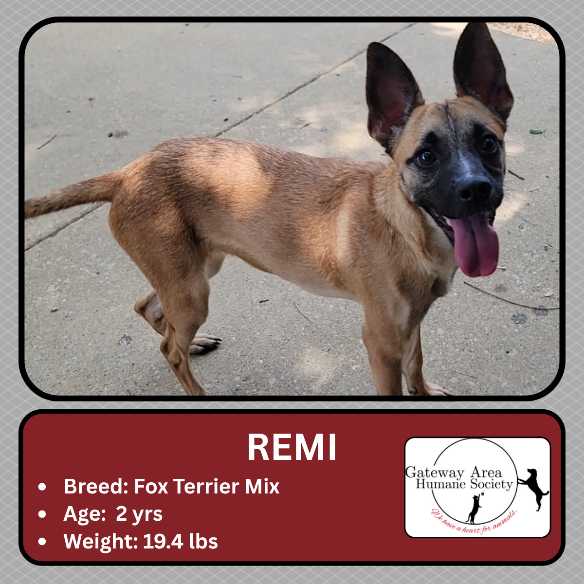 Remi.png