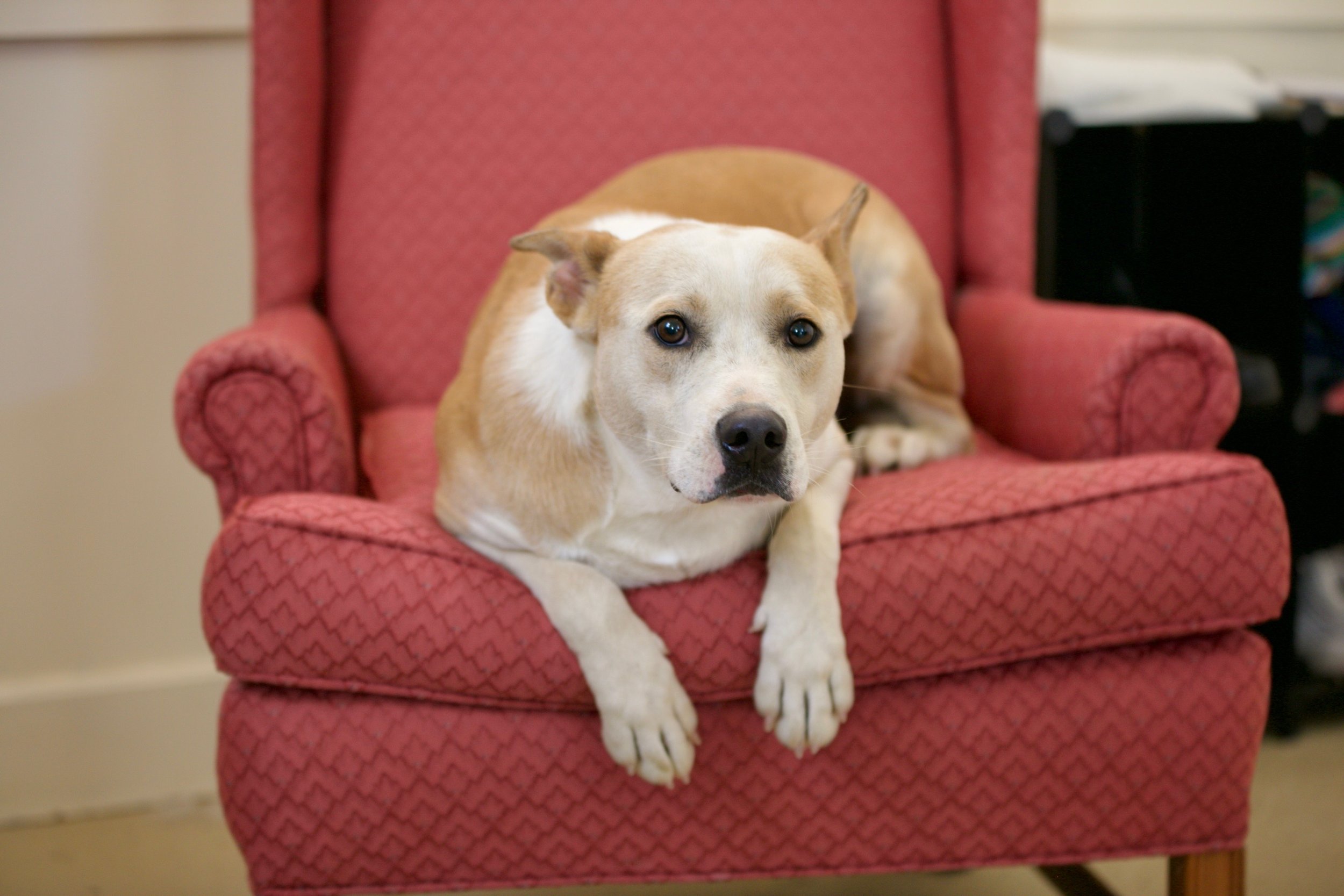 IMG_20251207_185050 (2).jpg