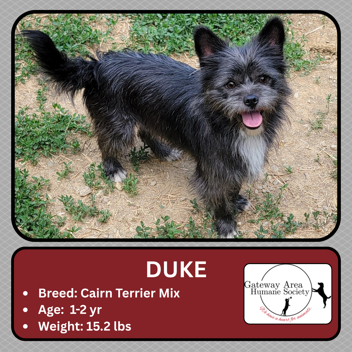 Duke.png