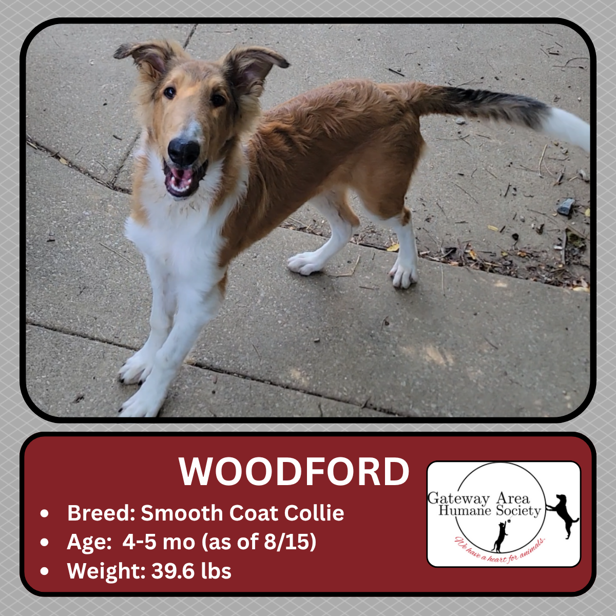 Woodford.png