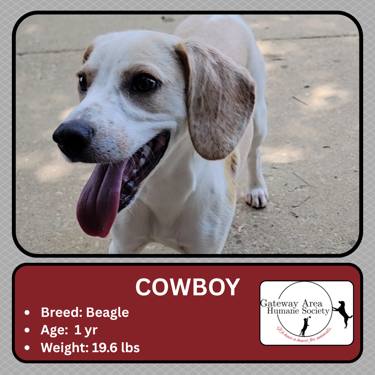 Cowboy.png