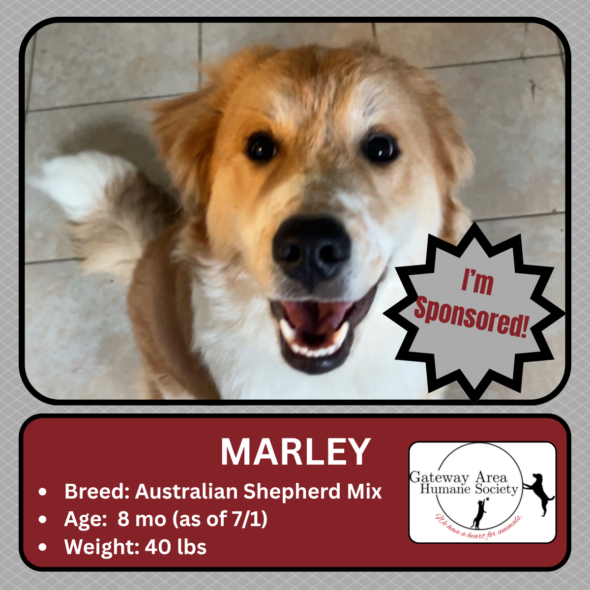 Marley.png