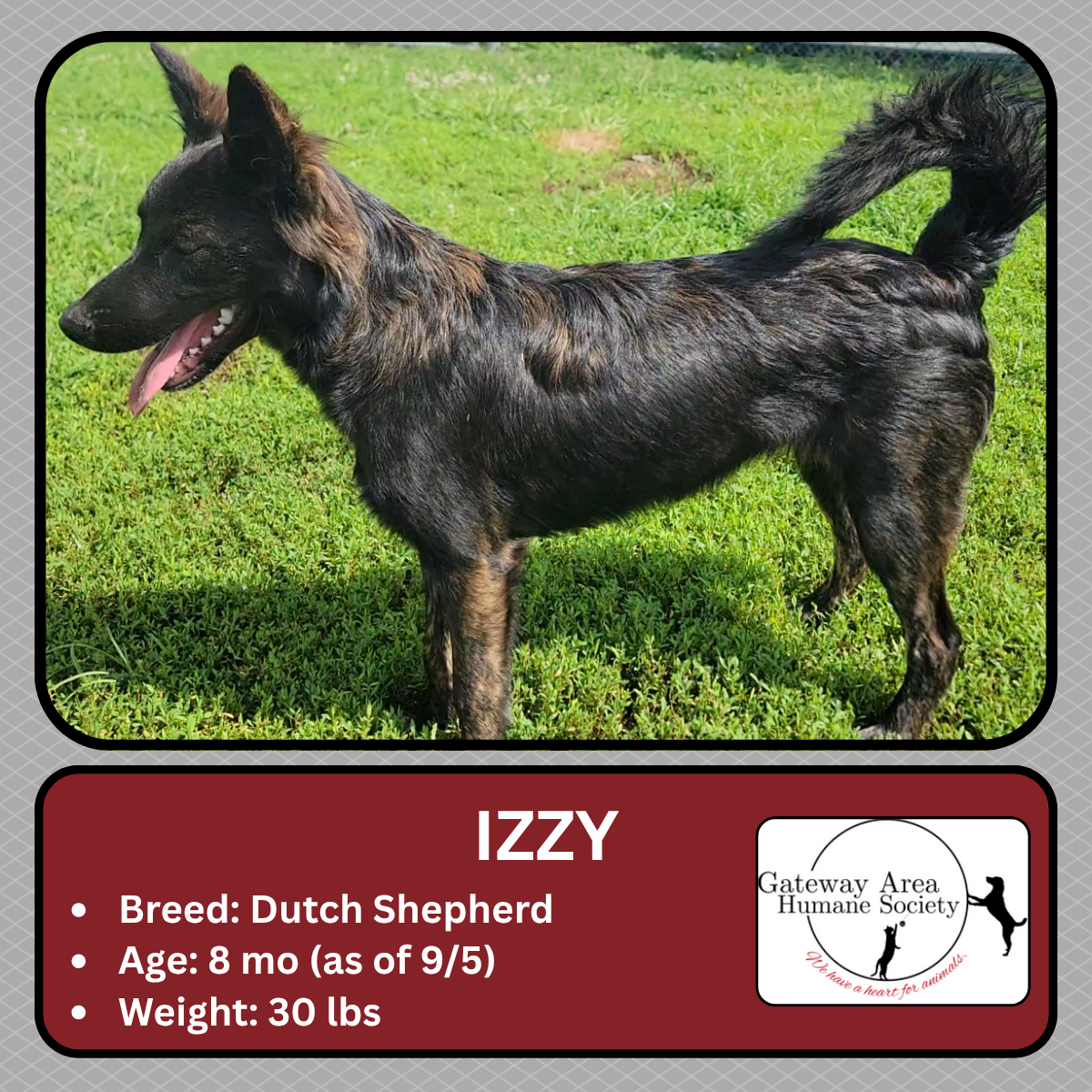 Izzy.png