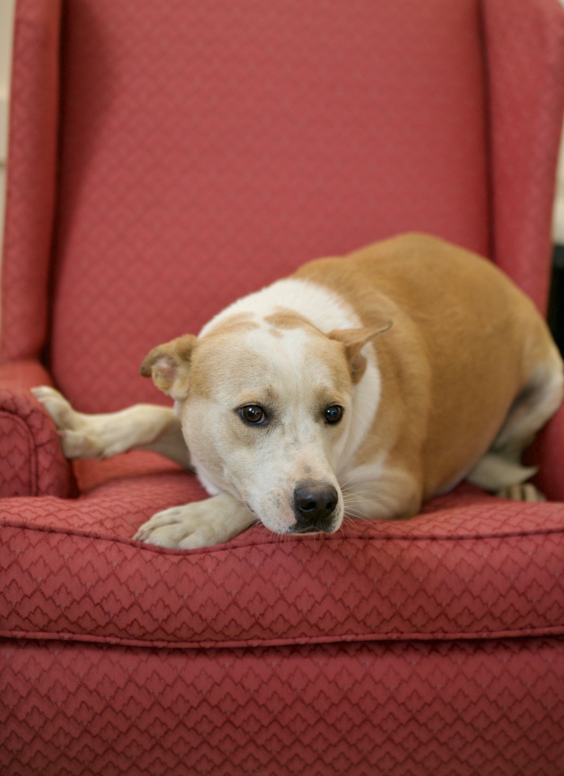 IMG_20251207_185050 (4).jpg