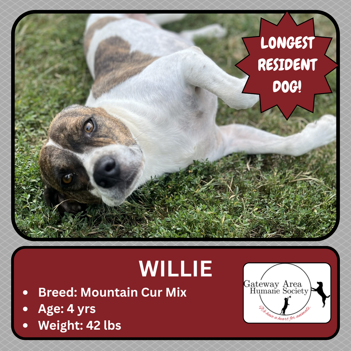 Willie.png