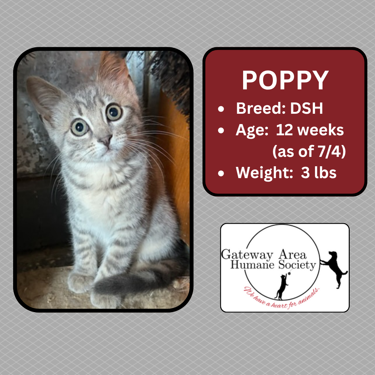 Poppy.png