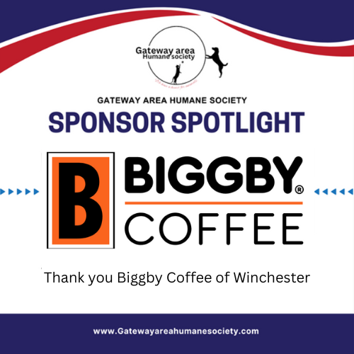 Sponser Spotlight - Biggby.png