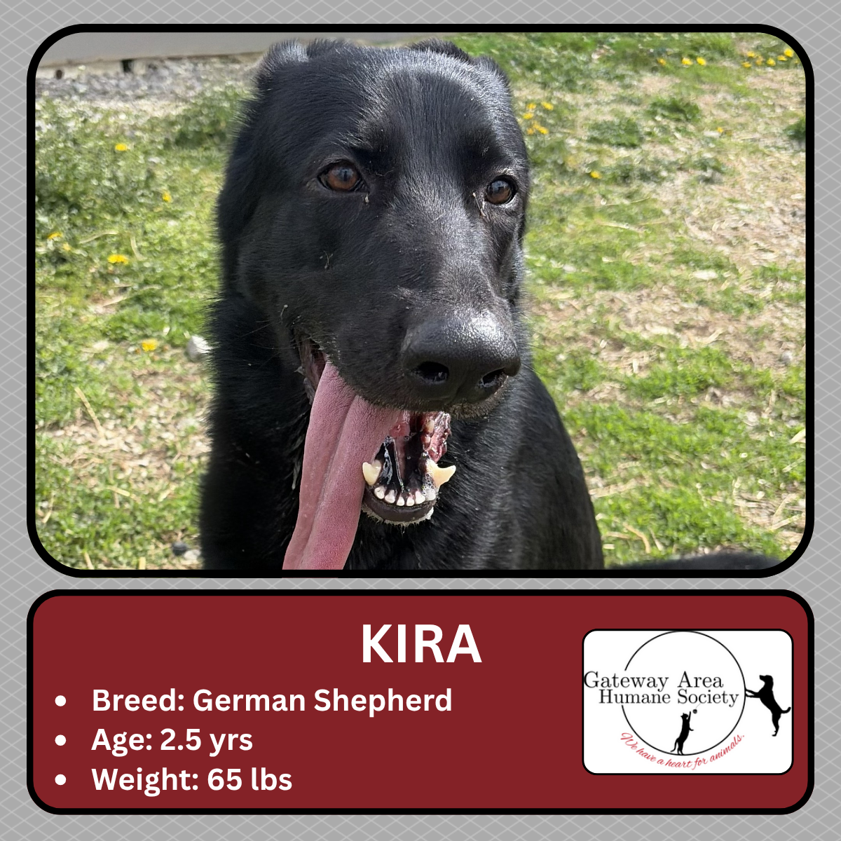 Kira.png