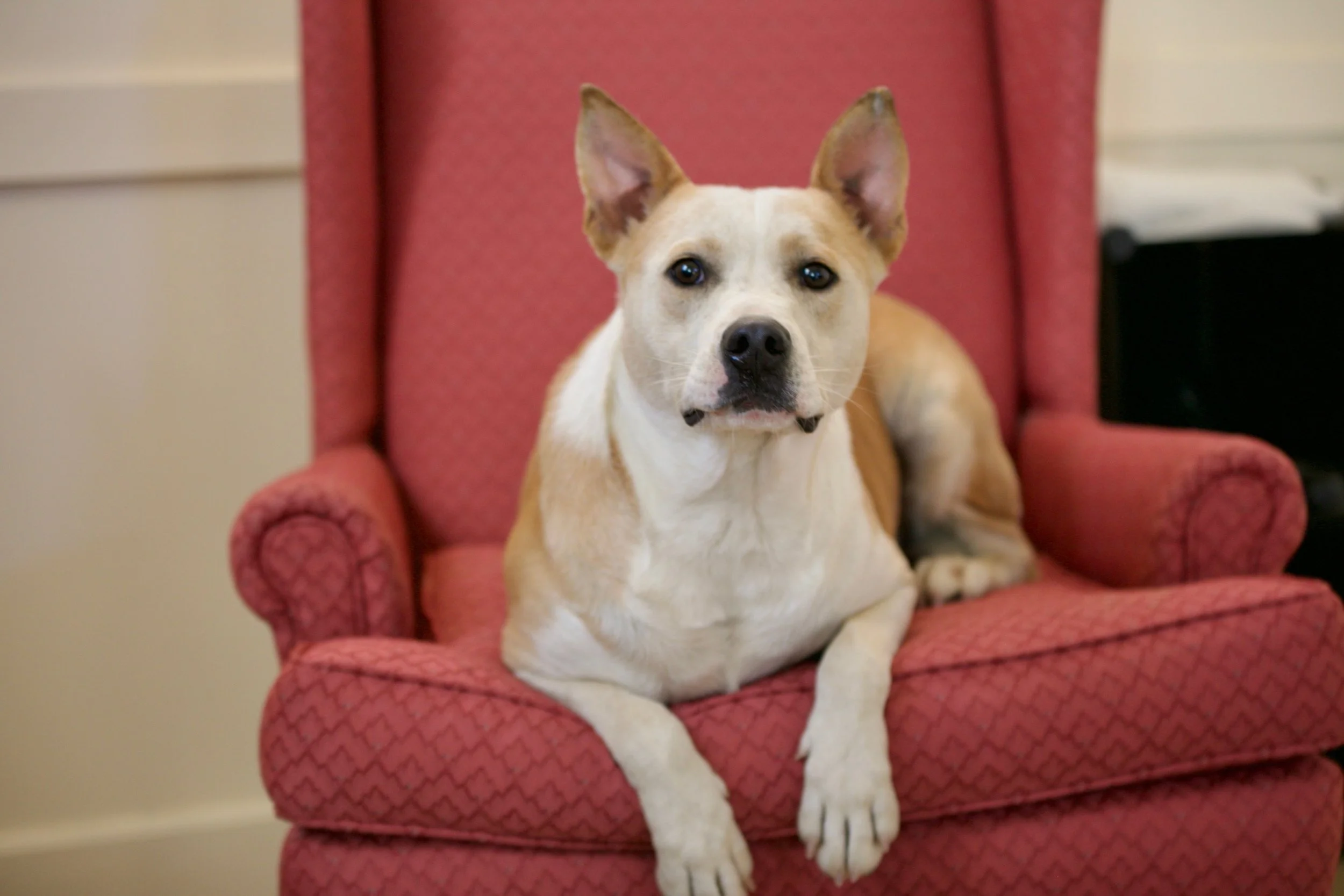 IMG_20251207_185050 (3).jpg