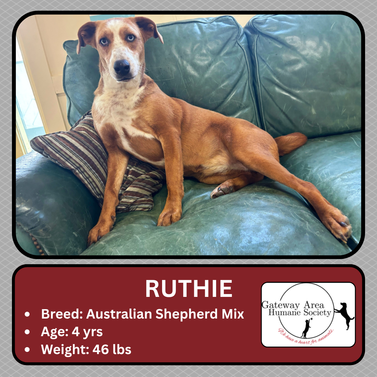 Ruthie.png