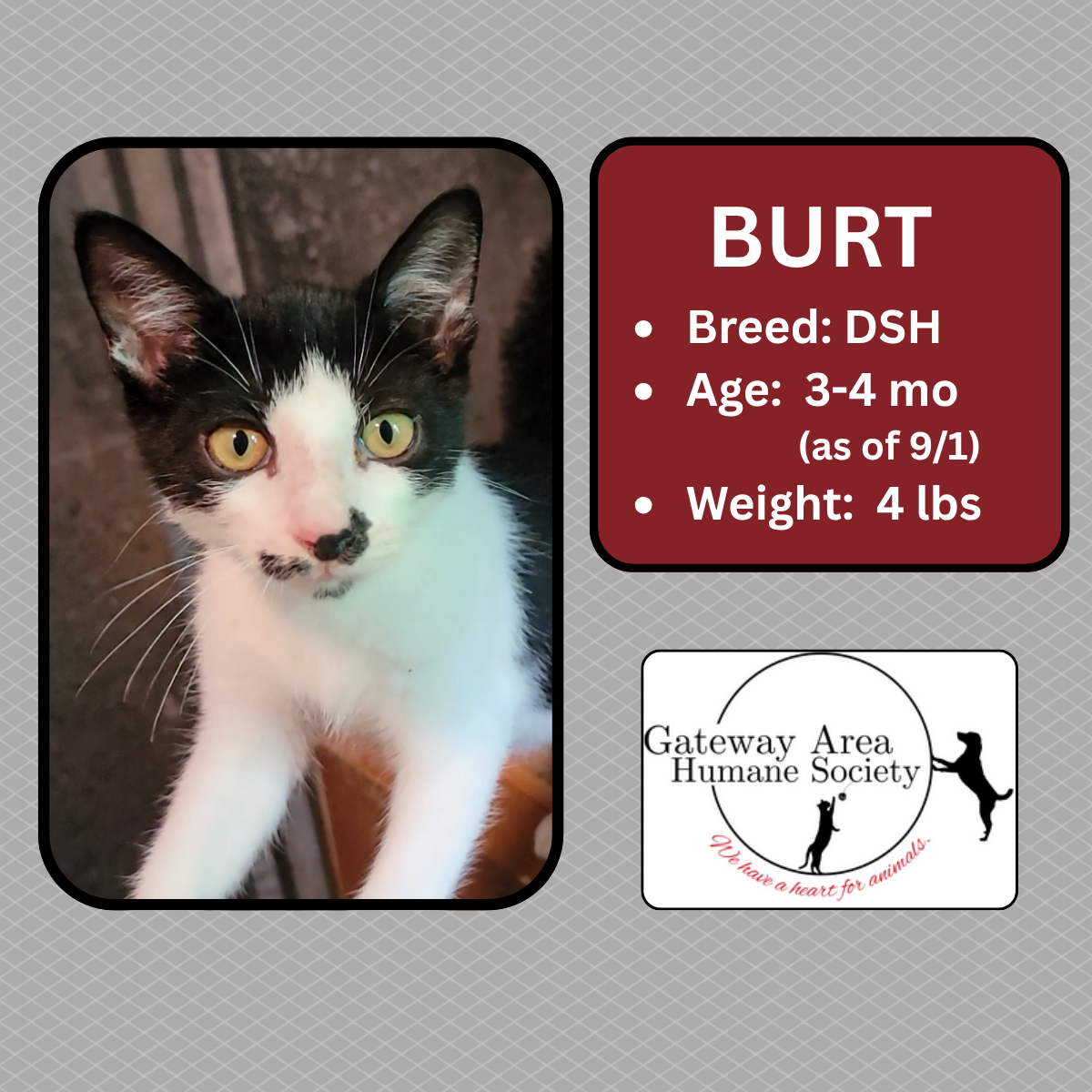 Burt Reynolds.png