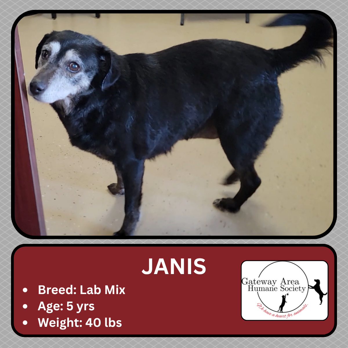 Janis.png