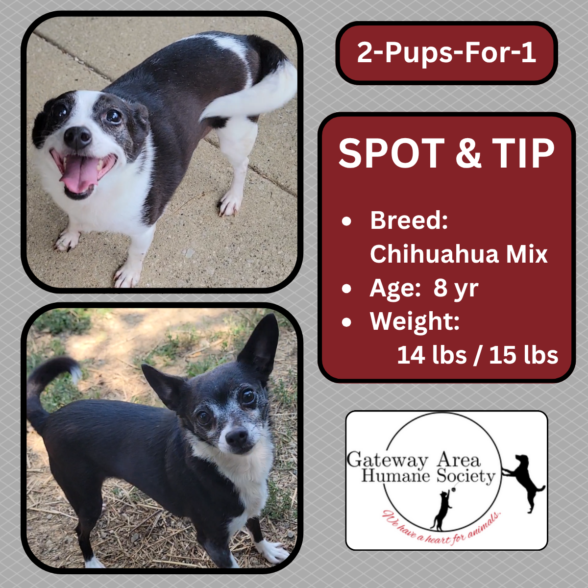 Bonded Pair-Spot & Tip.png