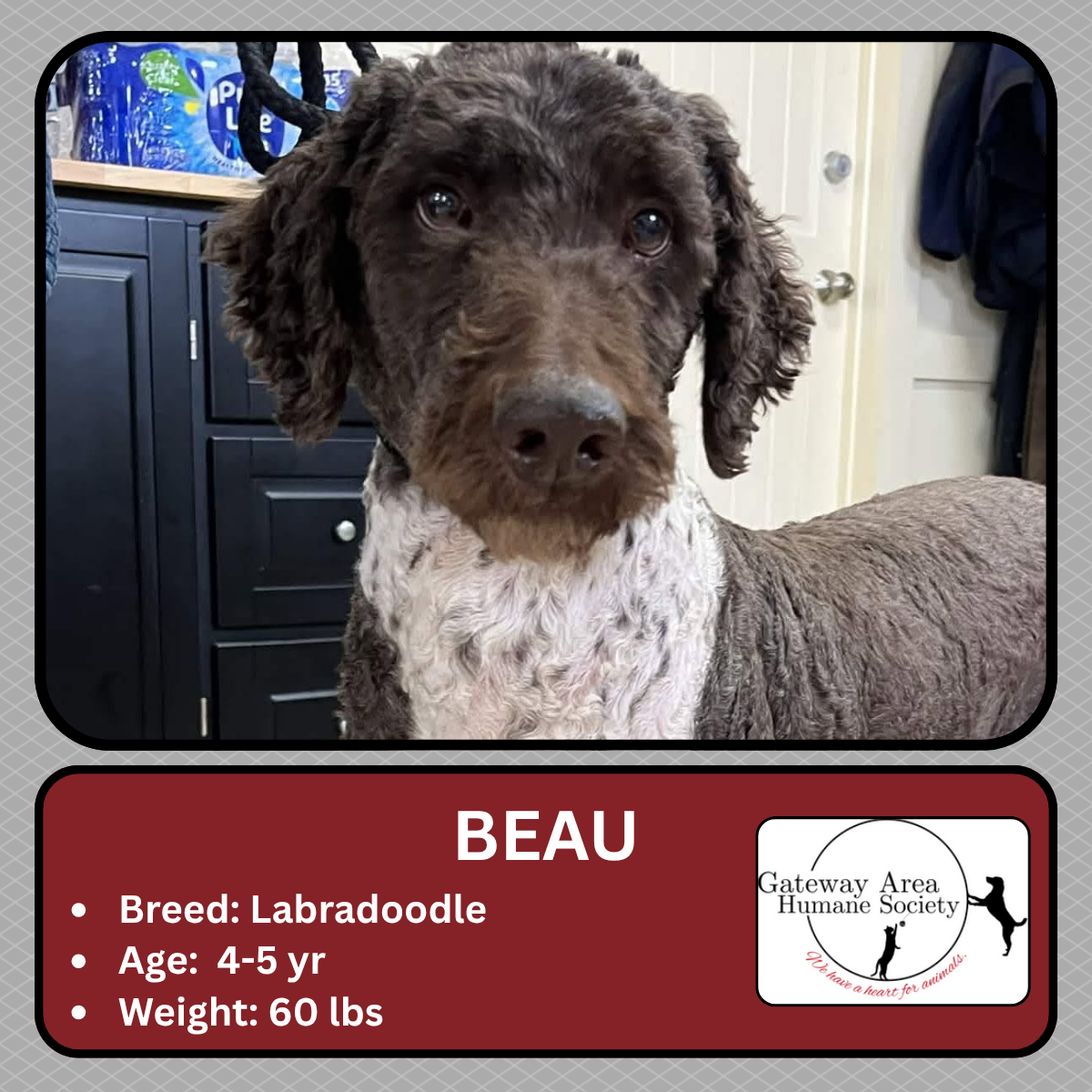 Beau.png