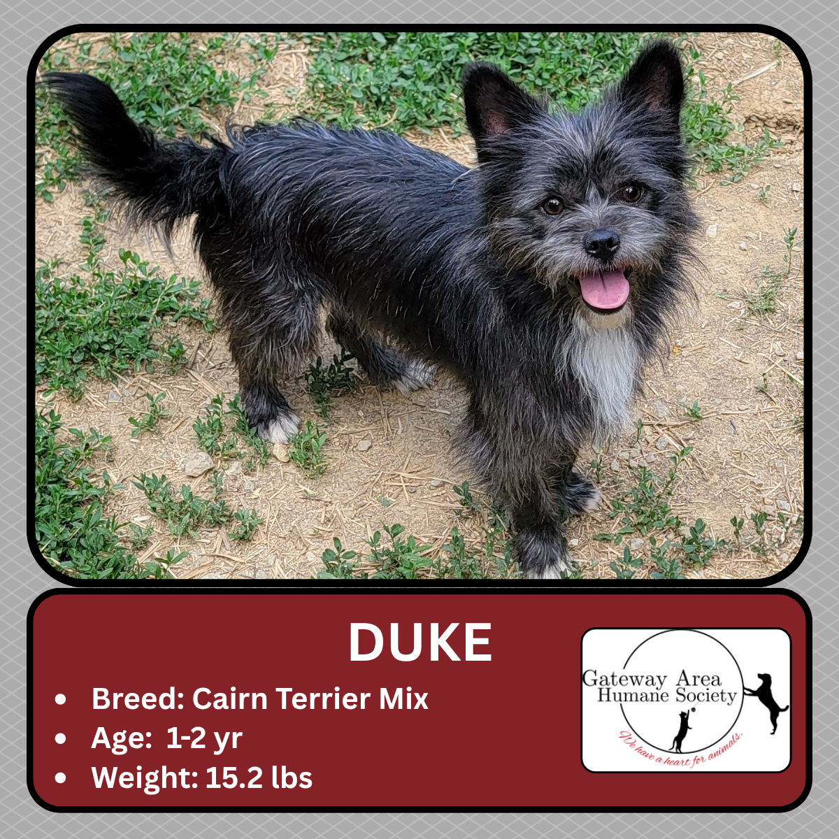 Duke.png
