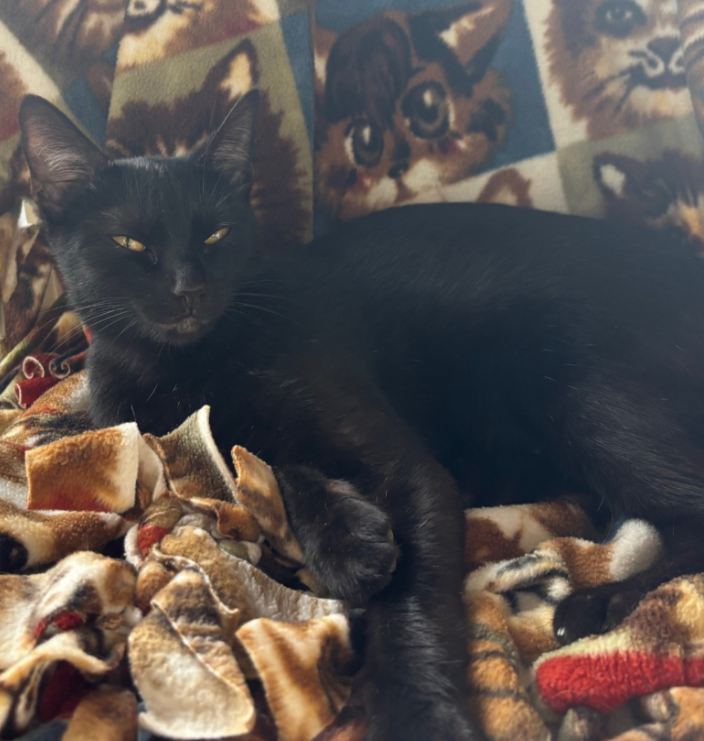 Screenshot 2025-12-23 115707.png