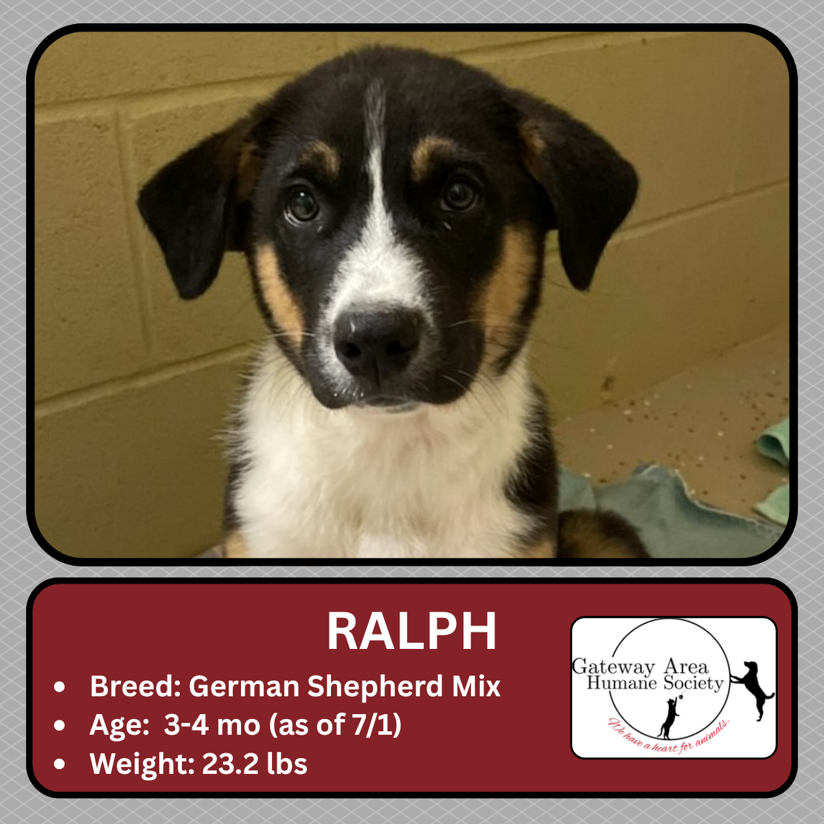 Ralph.png