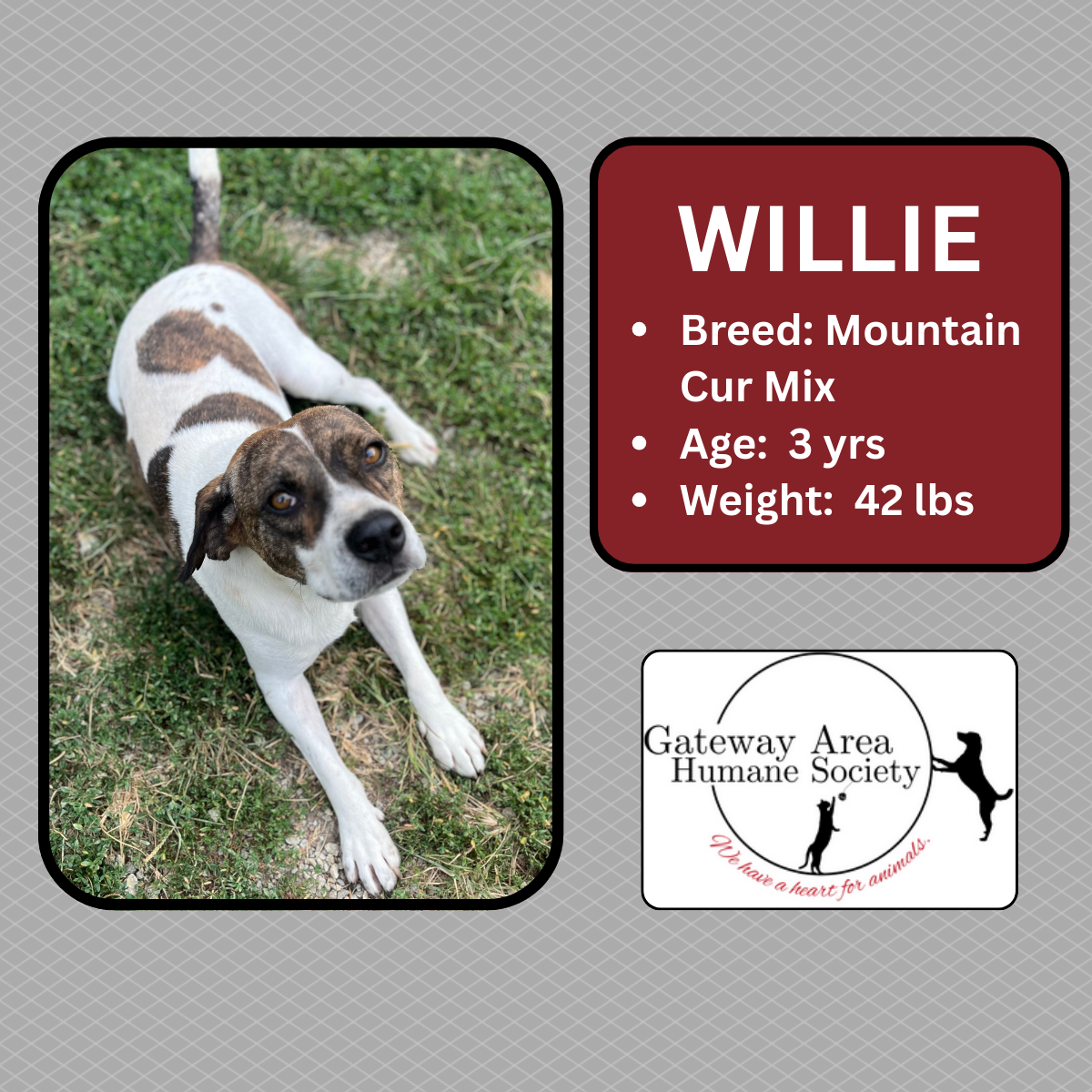 Willie-new.png
