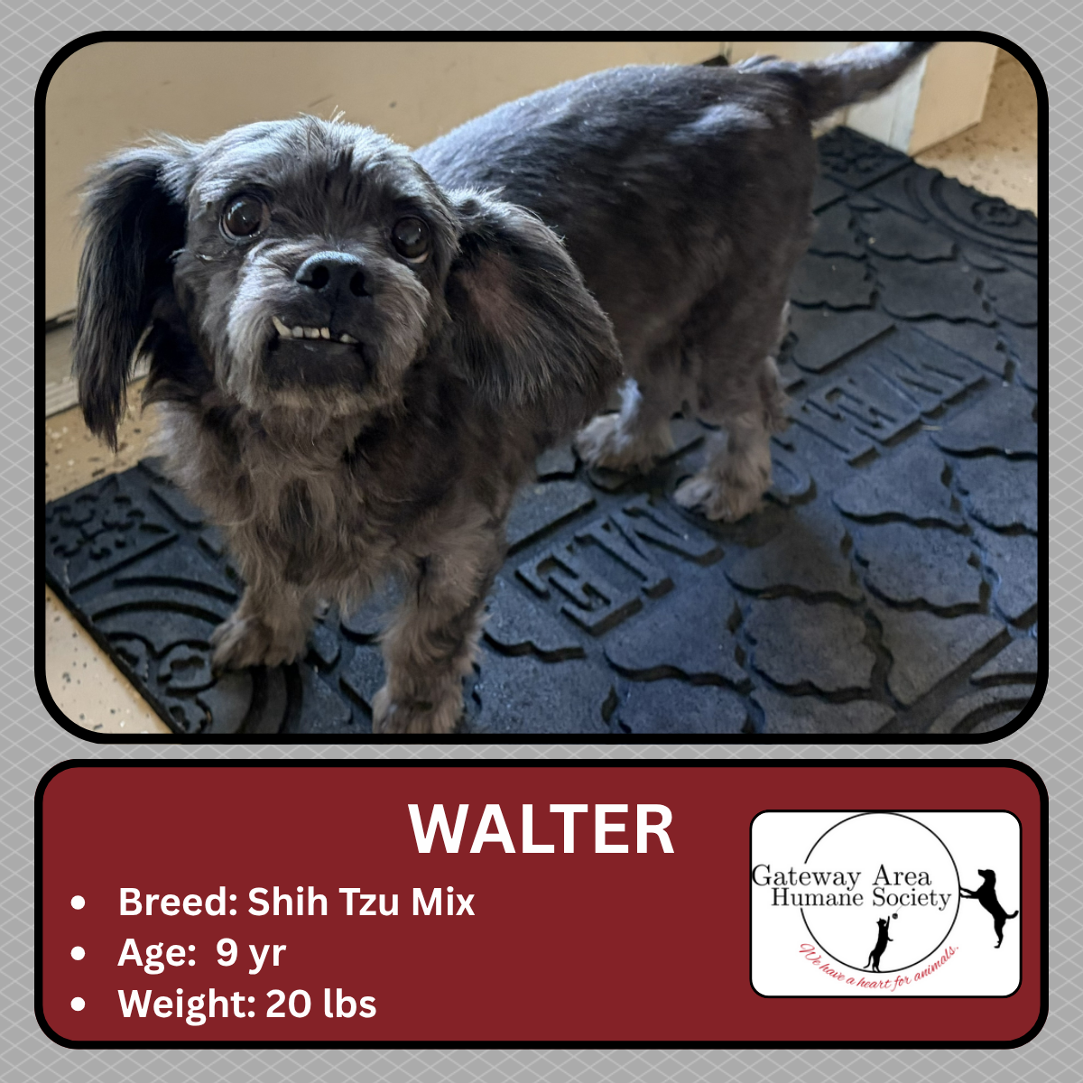 Walter.png