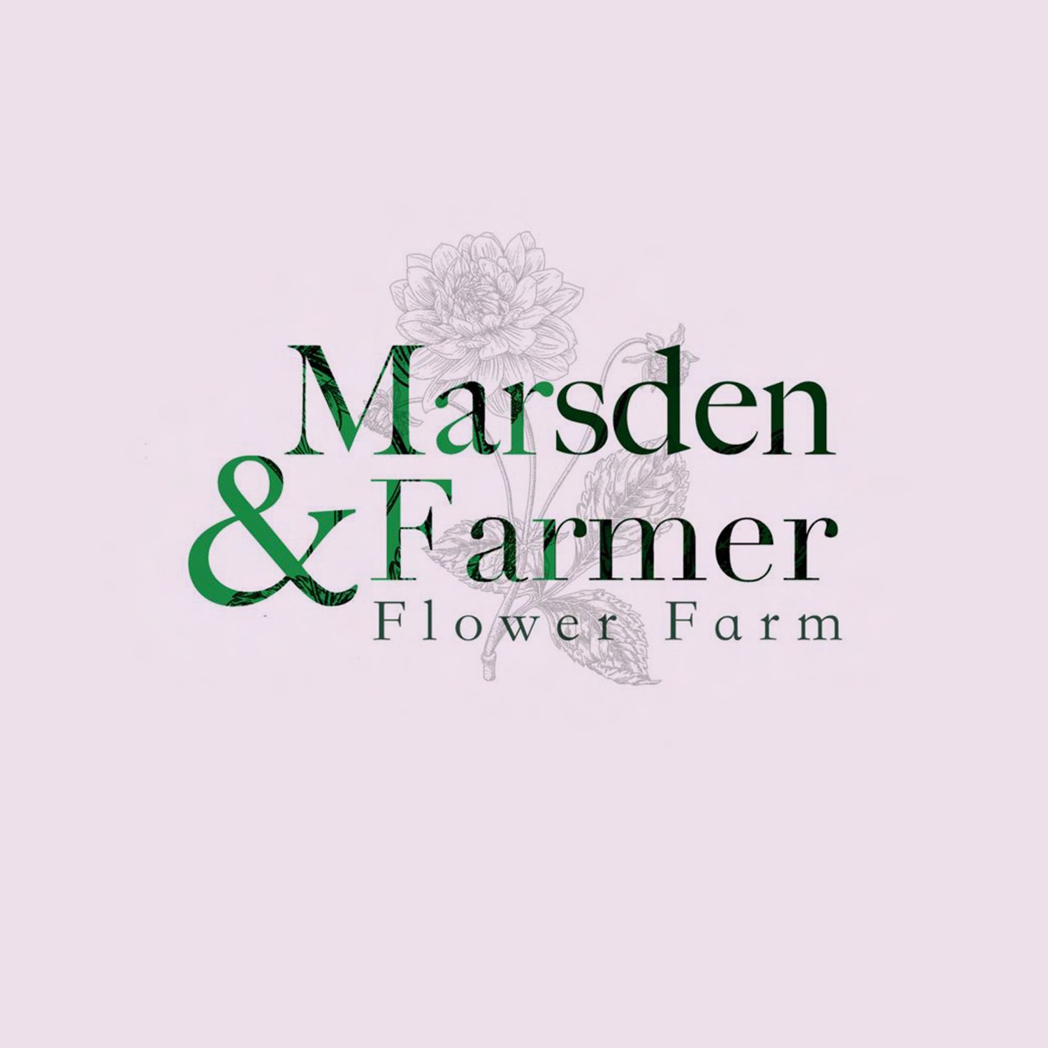Marsden &amp; Farmer 