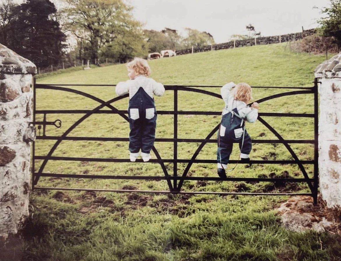 Two young children with blonde hair playing on a decorative metal gate in a rural field. One child is standing facing away, and the other is climbing on the gate, holding a stick.