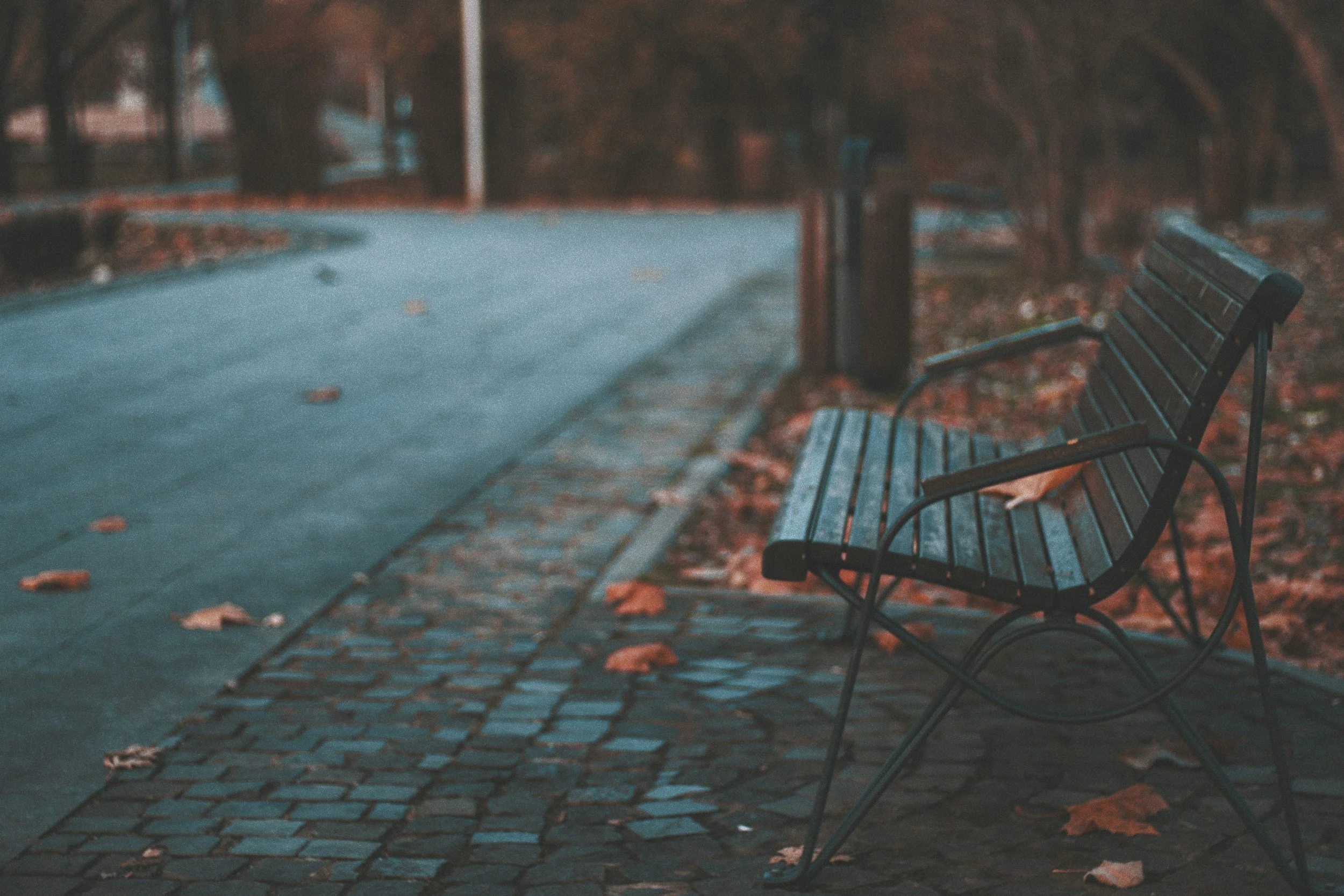 Empty park bench beside a quiet path with fallen leaves in soft, muted tones
