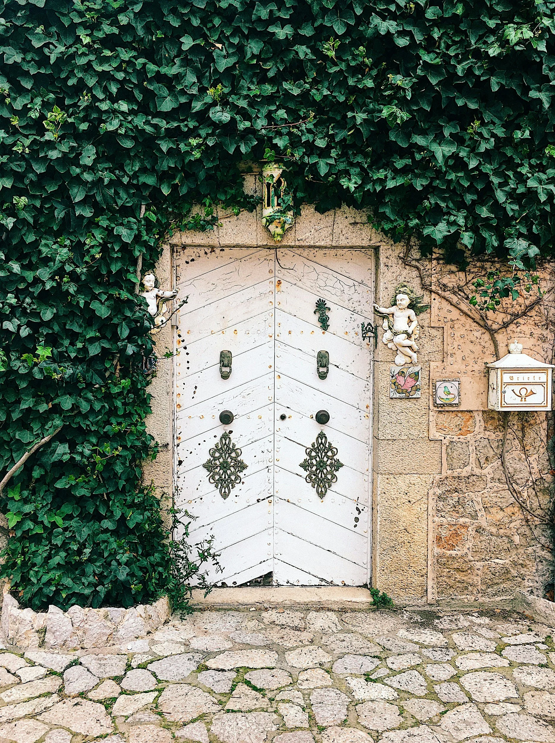 Weathered double doors surrounded by ivy, suggesting boundaries and transition