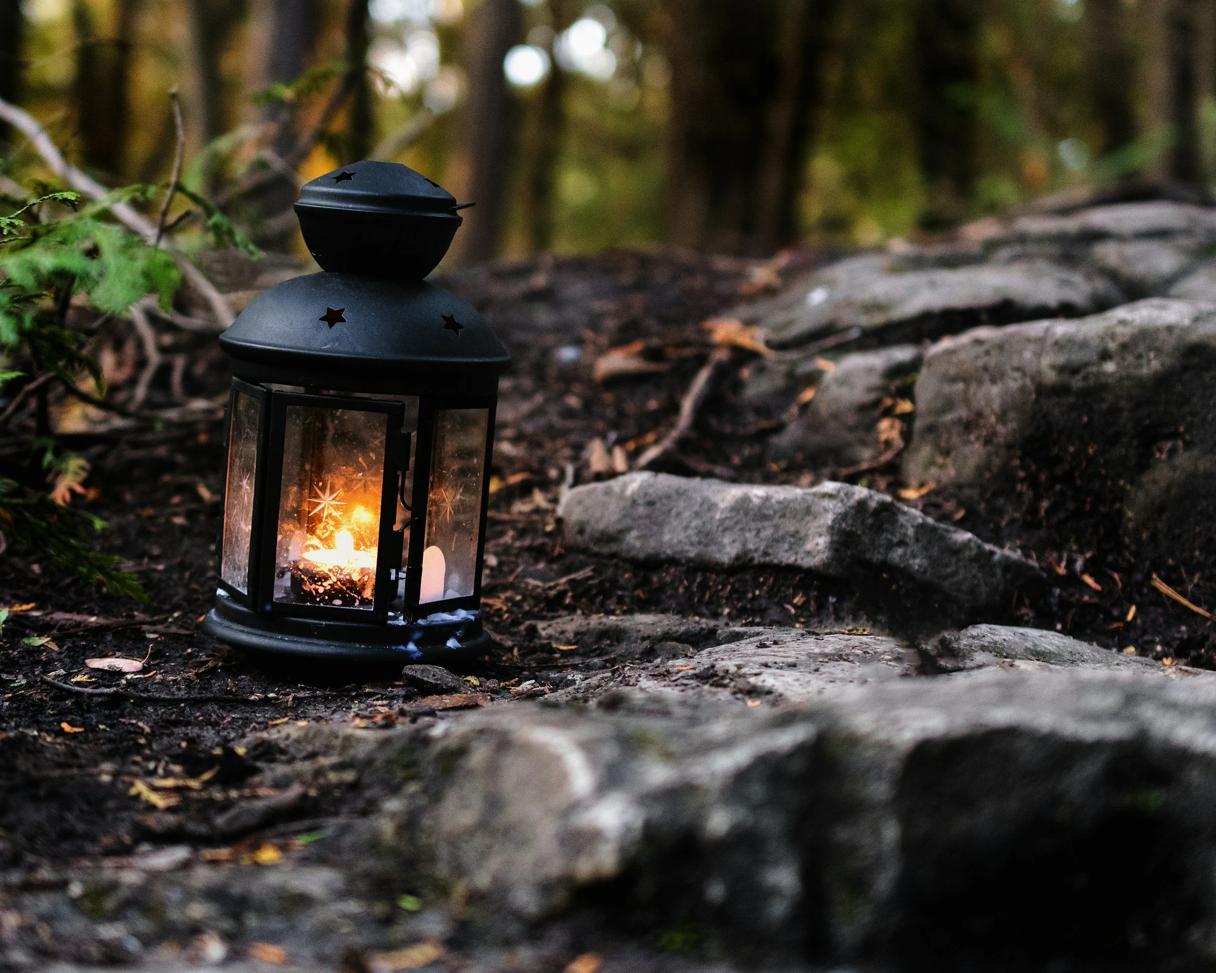 Lit lantern placed on stone steps in a wooded setting